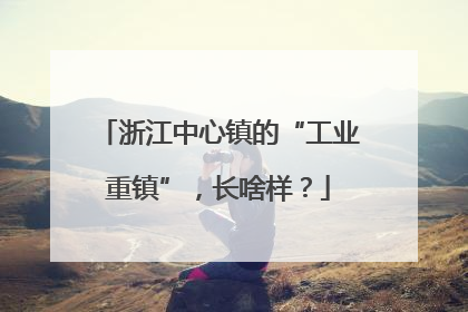 浙江中心镇的“工业重镇”,长啥样?