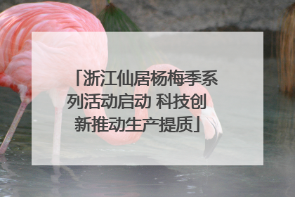 浙江仙居杨梅季系列活动启动 科技创新推动生产提质