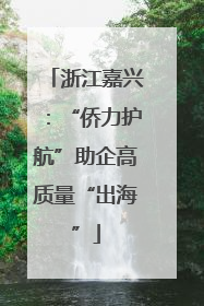浙江嘉兴：“侨力护航”助企高质量“出海”