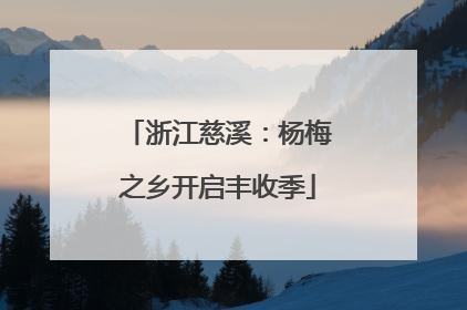 浙江慈溪：杨梅之乡开启丰收季