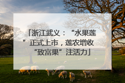 浙江武义：“水果莲”正式上市，莲农增收“致富果”注活力