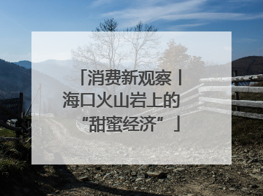 消费新观察丨海口火山岩上的“甜蜜经济”