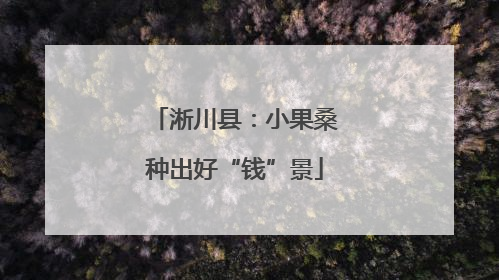 淅川县：小果桑种出好“钱”景