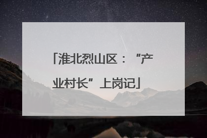淮北烈山区：“产业村长”上岗记