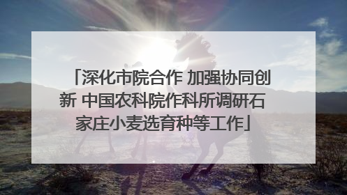 深化市院合作 加强协同创新 中国农科院作科所调研石家庄小麦选育种等工作