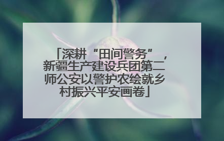 深耕“田间警务”，新疆生产建设兵团第二师公安以警护农绘就乡村振兴平安画卷