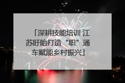 深耕技能培训 江苏盱眙打造“职”通车赋能乡村振兴