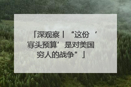 深观察丨“这份‘寡头预算’是对美国穷人的战争”