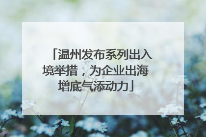 温州发布系列出入境举措，为企业出海增底气添动力