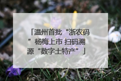 温州首批“浙农码”杨梅上市 扫码溯源“数字土特产”