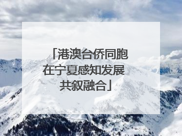 港澳台侨同胞在宁夏感知发展 共叙融合