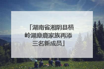 湖南省湘阴县横岭湖麋鹿家族再添三名新成员