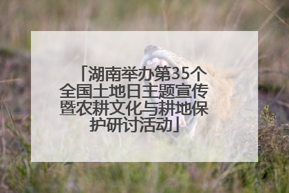 湖南举办第35个全国土地日主题宣传暨农耕文化与耕地保护研讨活动