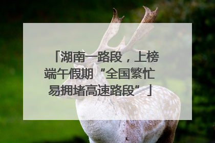 湖南一路段，上榜端午假期“全国繁忙易拥堵高速路段”