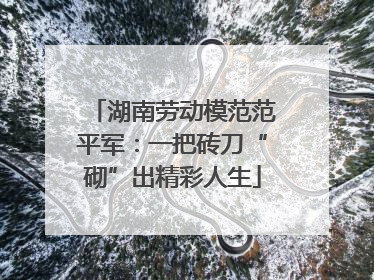 湖南劳动模范范平军：一把砖刀“砌”出精彩人生