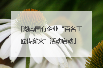 湖南国有企业“百名工匠传薪火”活动启动