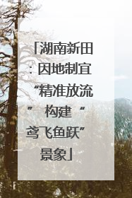 湖南新田：因地制宜“精准放流” 构建“鸢飞鱼跃”景象