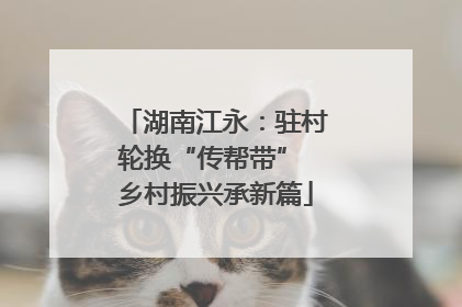 湖南江永：驻村轮换“传帮带” 乡村振兴承新篇