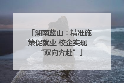湖南蓝山：精准施策促就业 校企实现“双向奔赴”