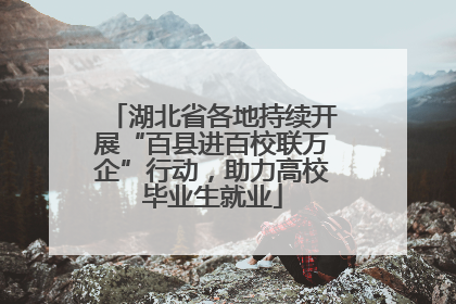 湖北省各地持续开展“百县进百校联万企”行动，助力高校毕业生就业