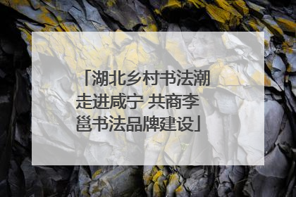 湖北乡村书法潮走进咸宁 共商李邕书法品牌建设