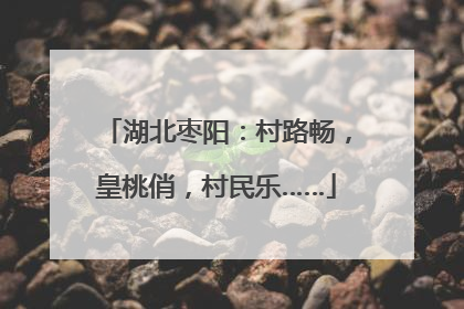 湖北枣阳：村路畅，皇桃俏，村民乐……