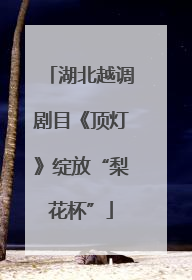 湖北越调剧目《顶灯》绽放“梨花杯”