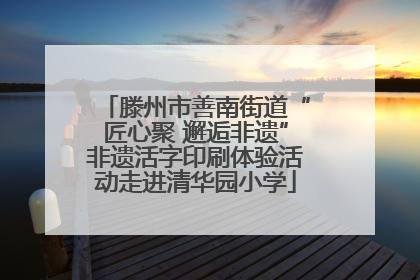 滕州市善南街道“匠心聚 邂逅非遗”非遗活字印刷体验活动走进清华园小学