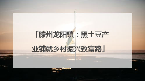 滕州龙阳镇：黑土豆产业铺就乡村振兴致富路