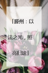滕州：以法之光，照亮归途