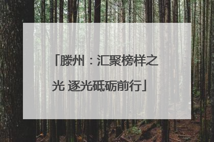 滕州：汇聚榜样之光 逐光砥砺前行