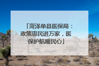 菏泽单县医保局：政策惠民进万家，医保护航暖民心