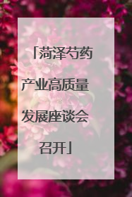 菏泽芍药产业高质量发展座谈会召开