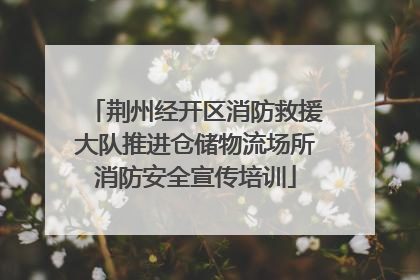 荆州经开区消防救援大队推进仓储物流场所消防安全宣传培训