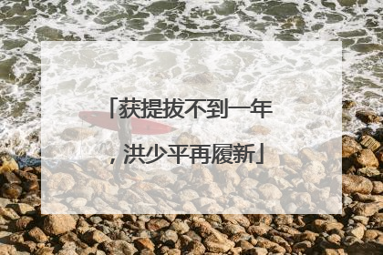 获提拔不到一年，洪少平再履新