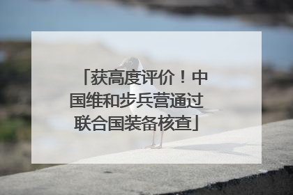 获高度评价！中国维和步兵营通过联合国装备核查