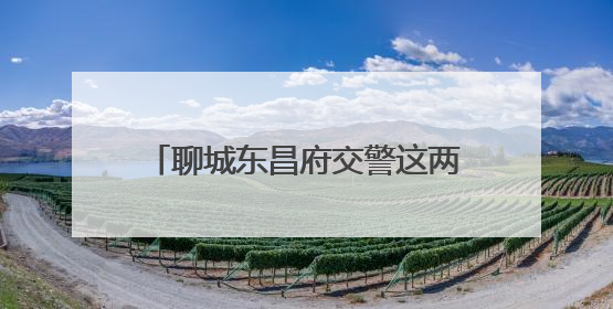 聊城东昌府交警这两场救援行动暖了民心