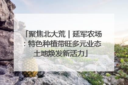 聚焦北大荒｜延军农场：特色种植带旺多元业态 土地焕发新活力