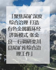 聚焦尾矿深度综合治理 打造有色金属循环经济新模式 张金良一行调研栾川县尾矿库综合治理工作