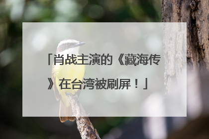 肖战主演的《藏海传》在台湾被刷屏！