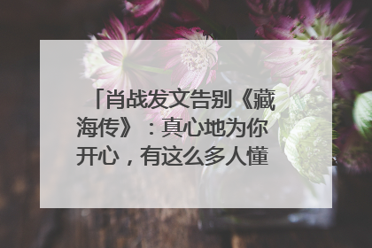 肖战发文告别《藏海传》：真心地为你开心，有这么多人懂你，导演回应“是否有第二季”