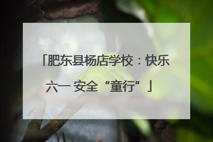 肥东县杨店学校：快乐六一 安全“童行”