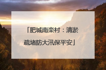 肥城南栾村：清淤疏堵防大汛保平安