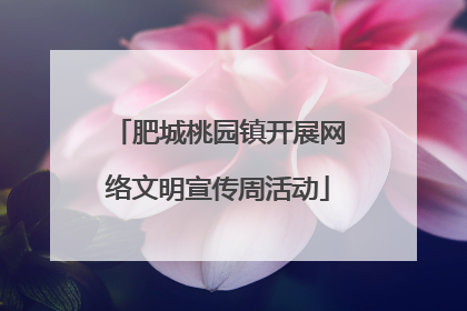 肥城桃园镇开展网络文明宣传周活动