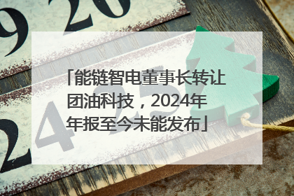 能链智电董事长转让团油科技，2024年年报至今未能发布