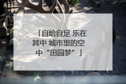 自给自足 乐在其中 城市里的空中“田园梦”