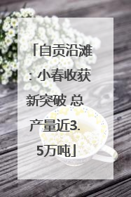 自贡沿滩：小春收获新突破 总产量近3.5万吨