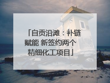 自贡沿滩：补链赋能 新签约两个精细化工项目