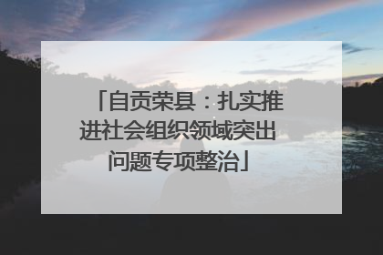 自贡荣县：扎实推进社会组织领域突出问题专项整治