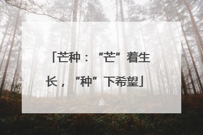 芒种：“芒”着生长，“种”下希望